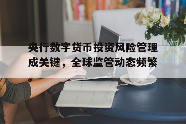 央行数字货币投资风险管理成关键，全球监管动态频繁。的简单介绍